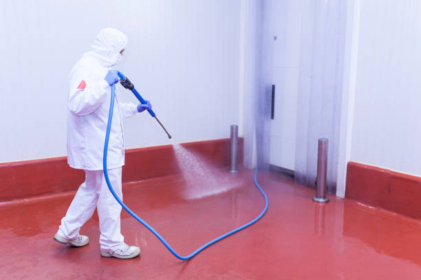  Defuniak Springs, FL Pressure Washing Pros